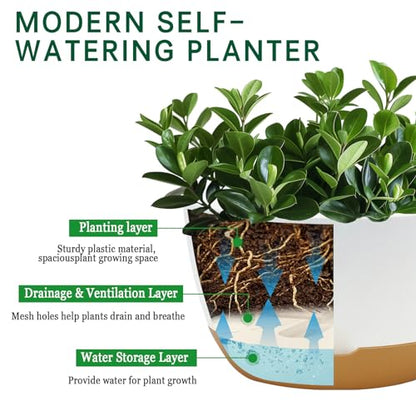 Koalaime 8/10/12 Inch Pots for Indoor Plants, Large Self Watering Planters with Drainage and Saucers, Plastic Outdoor Flower Pot, Set of 3, White - color: White