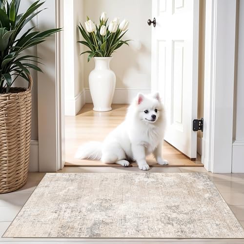 2x3 Washable Non-Slip Rug – Modern Abstract Neutral Small Throw Area Rug for Kitchen, Entryway, Bedroom – Soft Low Pile Thin Indoor Door Mat (Beige Grey, 2x3) - color: Beige Grey, size: 2' x 3' (Rectangular)