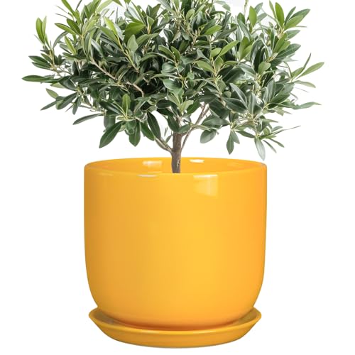 Ceramic Plant Pot 8 Inch, Indoor Planter, Yellow - color: Gloss Yellow, size: 8 Inch