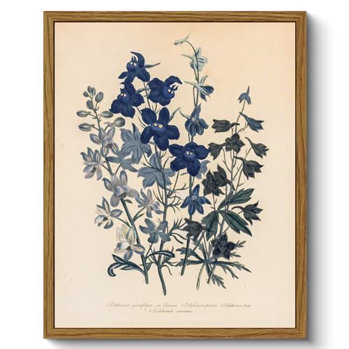 ARPEOTCY Vintage Framed Botanical Wall Art, Bedroom Bathroom Blue Flowers Pictures Art Decor, Canvas Print Retro Paintings, Home Rustic Farmhouse Neutral Decor, 8x10 Inch - color: Blue Botanical, size: 10"L x 8"W