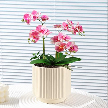 Ceramic 4.9+6.3 inch Planters, Modern Home and Office Flowerpot, Indoor and Outdoor Flowerpot with Drainage Hole (Light Yellow) - color: Light Yellow