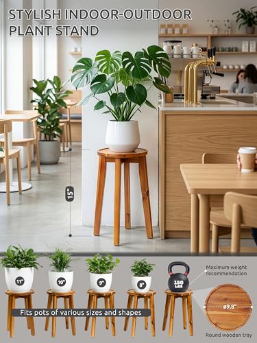 Demigo 15 in Tall Plant Stand, Acacia Plant Shelf for Indoor & Outdoor Use - color: Natural Acacia, size: Tall