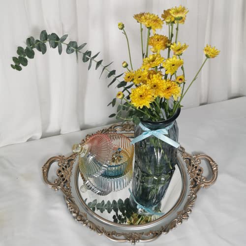 Yash YANIZU Decorative Mirror Tray, Round with Handles, Organizer for Perfume, Makeup, Jewelry, Vintage Display and Serving Tray for Dresser, Counter and Coffee Table, 15.8' x 13', Golden Silver - color: Golden,silver