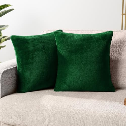 PAVILIA Emerald Green Decorative Throw Pillow Covers 18x18 Set of 2 Plush - color: Emerald Green, size: 18" x 18" (Pack of 2)