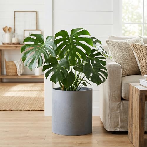 FaithLand 14 Inch Fiberstone Planter - Lightweight Modern Cylinder Plant Pot with Drainage Hole & Plug, Authentic Concrete Look, Gray - color: Gray, size: 14 inch