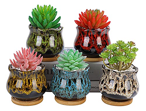 Cute Ceramic Succulent Garden Pots, Planter with Drainage and Attached Saucer, Set of 5 -Plants Not Included (Fambe) - color: Fambe