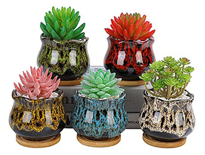 Cute Ceramic Succulent Garden Pots, Planter with Drainage and Attached Saucer, Set of 5 -Plants Not Included (Fambe) - color: Fambe