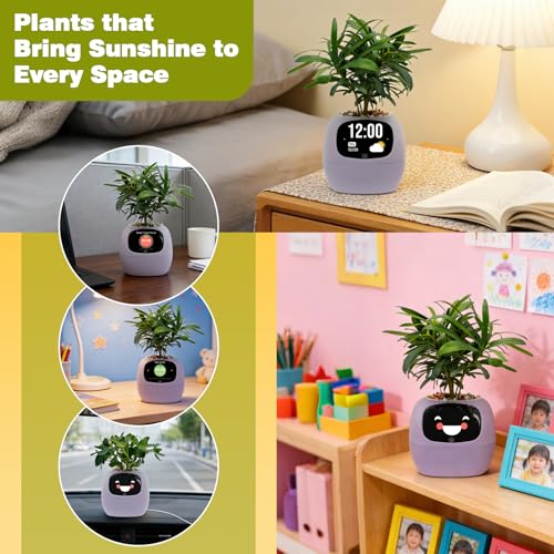 PLANTSIO Smart Plant Pot with Screen, 80ml Self-Watering Planter Purple - color: Purple