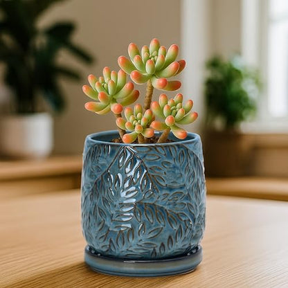 D'vine Dev Embossed Leaves Ceramic Planter, 4 in, Ocean Teal, 27-A-Z-8 - color: Ocean Teal, size: 4 Inch