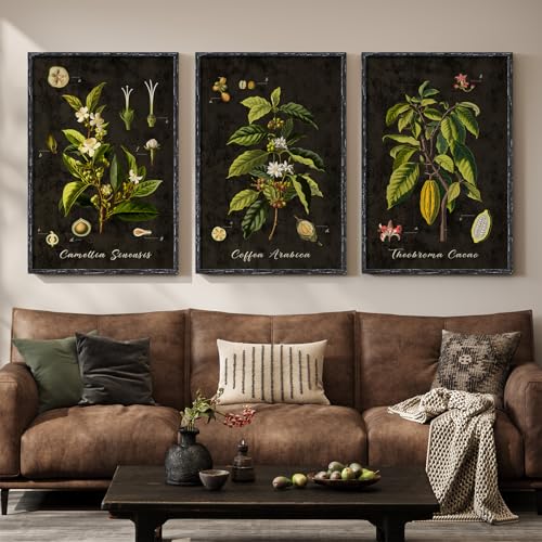 Large Vintage Framed Botanical Wall Art for Living Room, 3 Piece 24x36 Inch - color: Dark Black & Green, size: 24" W x 36" H x 3Pcs