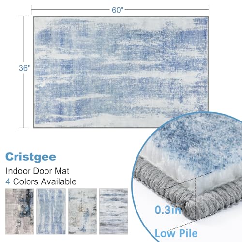 Cristgee Door Mat, Front Indoor Door Mat Faux Wool Non-Slip Entryway Rug Absorbent Abstract Throw Rug for Indoor Entrance Hallway Laundry Room, 36X60 Inches, Modern Blue Washable - color: Modern Blue, size: 3' x 5' (Rectangular)