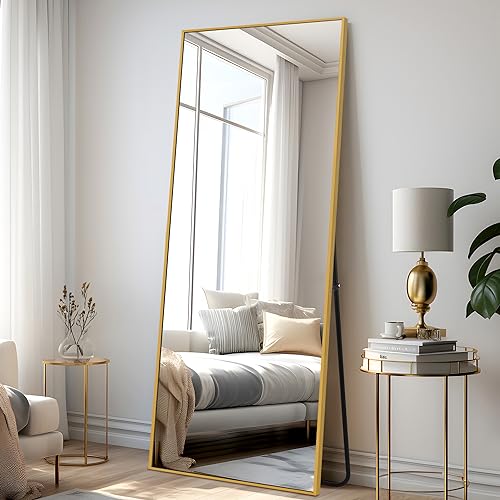 NeuType Full Length Floor Mirror Standing Hanging or Leaning Against Wall, Large Rectangle Bedroom Dressing Mirror Wall-Mounted, Aluminum Alloy Thin Frame, 65"x22"