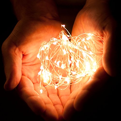 100 LED String Lights, 32 Feet, Silver Wire, Warm White, Plug-in, Indoor-Outdoor, 5V DC Transformer - color: Warm White