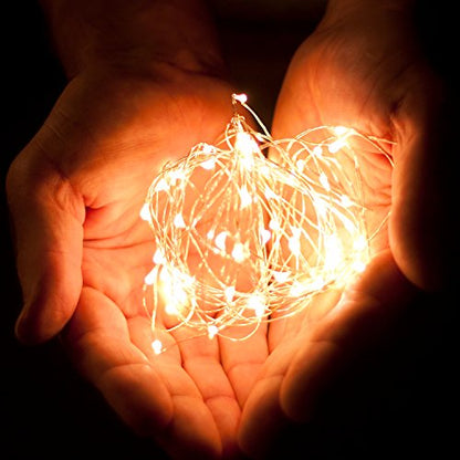 100 LED String Lights, 32 Feet, Silver Wire, Warm White, Plug-in, Indoor-Outdoor, 5V DC Transformer - color: Warm White