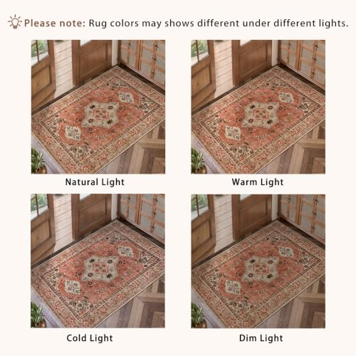 Tangsoo Boho 4x6 Area Rug for Living Room, Washable Non Slip Rug Terracotta - color: Terracotta/Tan, size: 4' X 6' (Rectangular)