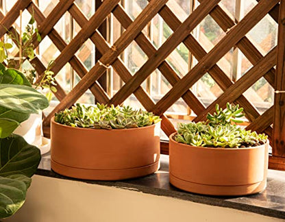 D'vine Dev Terracotta Shallow Planter Pot with Saucer, 12 in, 40-Y-C-0 - size: 12 Inch
