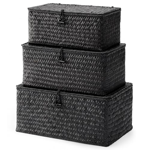 Nonam Wicker Storage Basket with Lid,Seagrass Shelf Basket Set of 3,Black - color: Standard Black* Set of 3