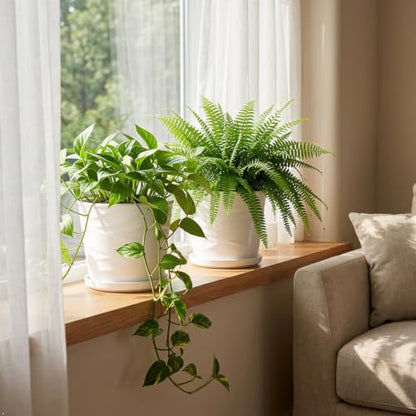 6 Inch Plant Pot,Ceramic Planter with Drainage and Saucer(6.7 In Diameter) - color: Pure White, size: 6.7 Inch-2 Pack
