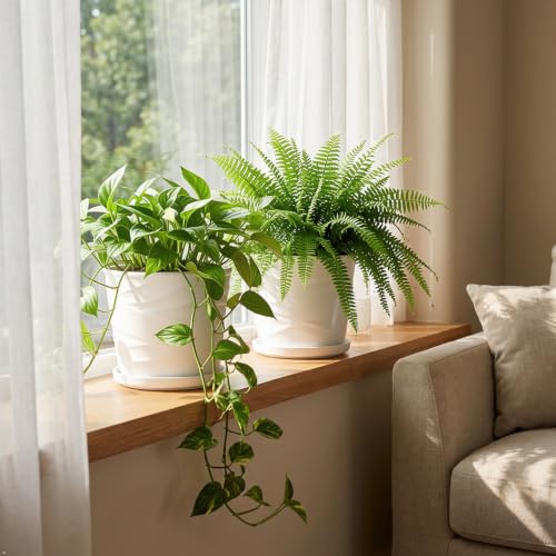 6 Inch Plant Pot,Ceramic Planter with Drainage and Saucer(6.7 In Diameter) - color: Pure White, size: 6.7 Inch-2 Pack