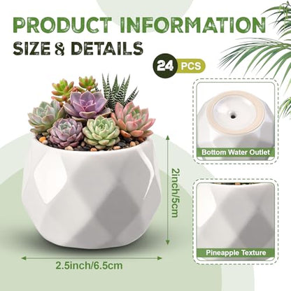 24 Pack 2.5 Inch Small Succulent Pots, White, Fashion - style: Fashion