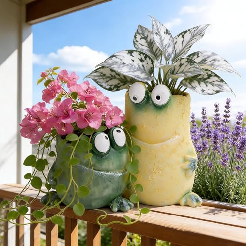 4 Inch Cute Frog Planter Resin Statue, Funny Animal Flower Pot for Indoor Outdoor Succulents Plants, Unique Garden Decor for Desk Home Office Decoration, Pen Holder Creative Gift for Women - color: B01-double Frog