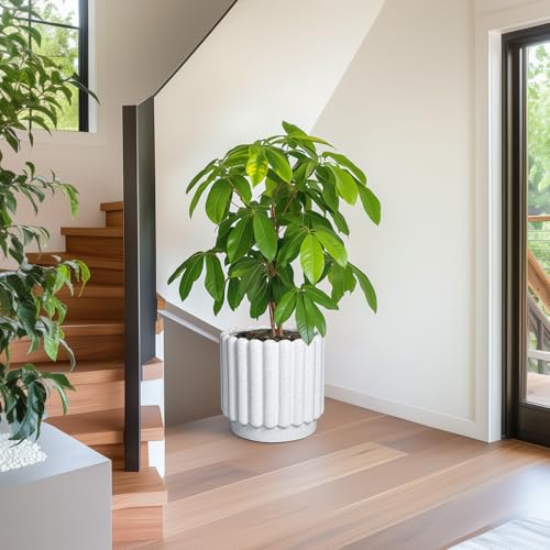 Ceramicfor Ceramic Flower Pot, 12 Inch, White - color: Matte White, size: 12 Inch