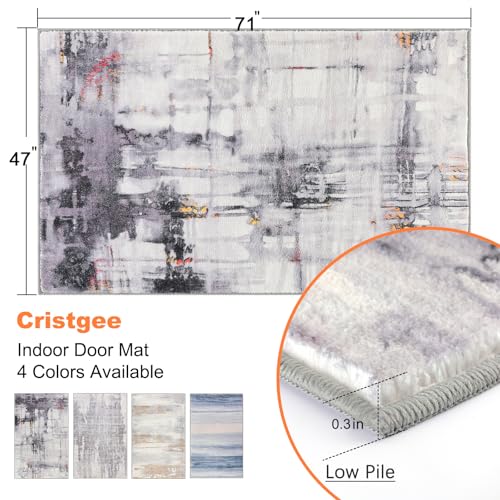 CRISTGEE Door Mat, Front Indoor Door Mat Faux Wool Non-Slip Entryway Rug Absorbent Abstract Throw Rug for Indoor Entrance Hallway Laundry Room, High Traffic Areas, 47X71 Inches, Washable - color: Multi Color, size: 3'11" x 5'11" (Rectangular)