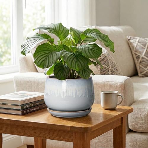 9 Inch Ceramic Pots for Plants, Indoor Plant Pots, Grey-White - size: 9 Inch, style: Grey-white