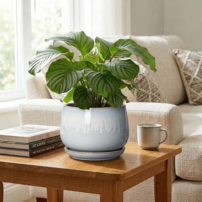9 Inch Ceramic Pots for Plants, Indoor Plant Pots, Grey-White - size: 9 Inch, style: Grey-white
