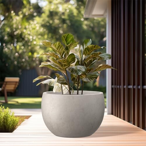 Kante Large Round Bowl Weathered Concrete Planter 20" Dia, Outdoor - color: Weathered Concrete, size: 19.9" d