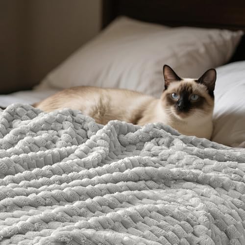 PHF Soft Cozy Fleece Blanket Queen, 340GSM Lightweight Warmth, Light Grey - color: Light Grey, size: Queen(90"x90")