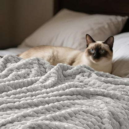 PHF Soft Cozy Fleece Blanket Queen, 340GSM Lightweight Warmth, Light Grey - color: Light Grey, size: Queen(90"x90")