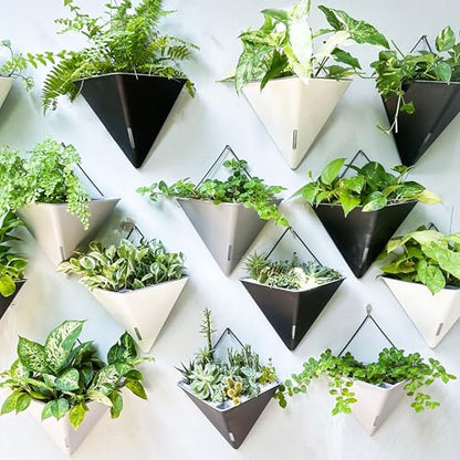 LaLaGreen Wall Planters for Indoor Plants (12in, 2 Pack) White Planter - color: White X 2 Pack