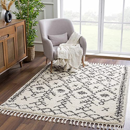 Hauteloom Masada Area Rug - color: Charcoal, Beige / Godalming, size: 5'3" x 7'3" (Rectangular)