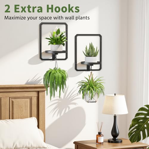 LASZOLA Plant Picture Frame Holder Shelf Wall Window Indoor, 3 Pcs Black - color: Standard Black, size: 3