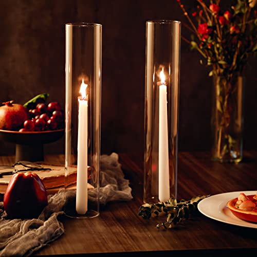 Treela 48 Pcs 2.5" W x 14" H Hurricane Candle Holder Sleeve