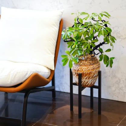 Adjustable Metal Plant Stand Indoor, Expandable 9 to 15 Inch Pot Holder