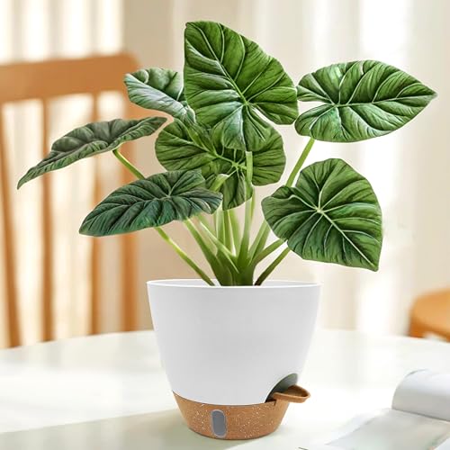 12/10/9/8 inch Self Watering Pots with Visual Water Window, Extra Large Self Watering Plant Pot with Drainage Holes and Saucers, White Flower Pots for Indoor Plants - color: White