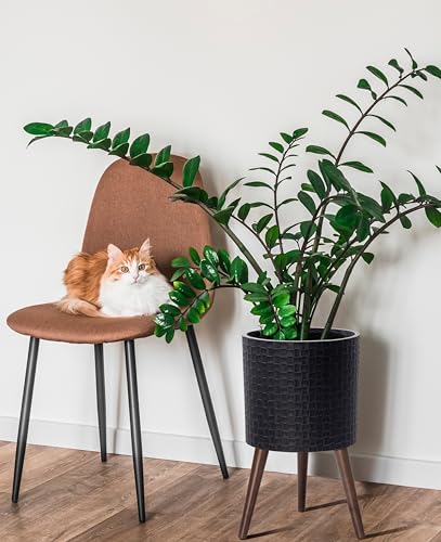 D'vine Dev Planter Pot with Wood Stand, 12 in, Distressed Black, 88-Z-C-5 - color: Distressed Black, size: Large