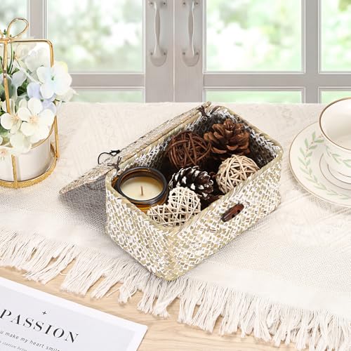 Handwoven Seagrass Basket Small Wicker Basket with Lid,7x4.3x 3.3" - color: Whitewash color, size: 7.0"L x 4.3"W x 3.3"H