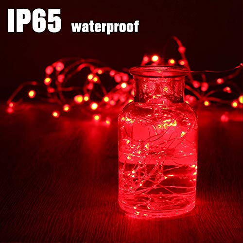 RUICHEN Fairy Lights Plug in, Silver Wire 33 Ft 100 LED String Lights, Red - color: Red