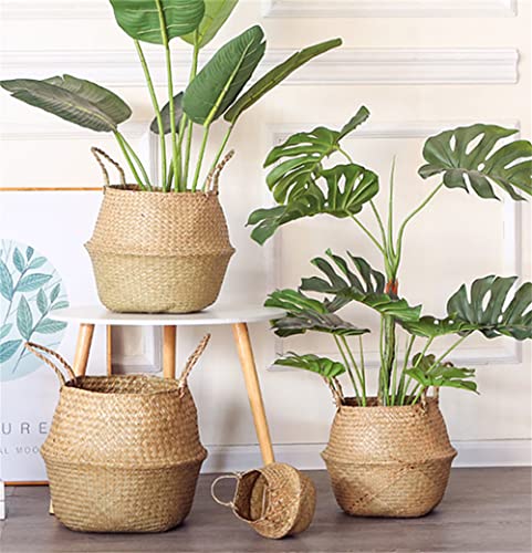 DOKOT Seagrass Plant Basket with Handles, Round Storage Wicker Basket (10.6inch Diameter x 12.5inch Height, Natural) - size: XL (10.6" D x 12.5" H )