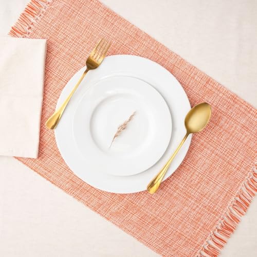 Cotton Placemats Set of 6-13x19 Inch, Woven Chambray Place Mats, Durable & Elegant for Dining Table, Wedding, Restaurant, Oeko-TEX Certified - Burnt Orange - color: Burnt Orange - Chambrey