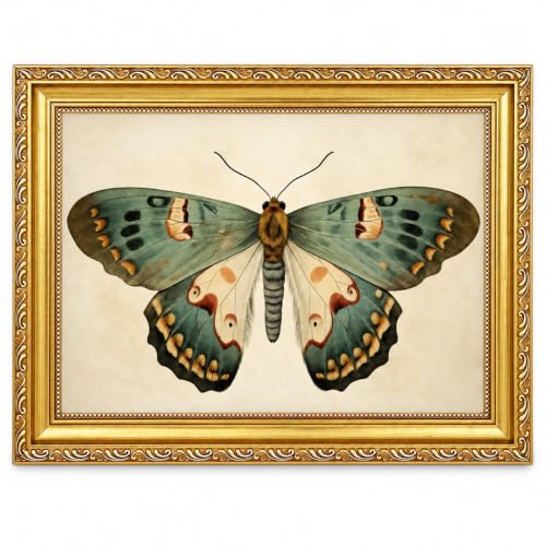 Ymsagrs Vintage Butterfly Wall Art, Antique Gold Frame Decor, 9x11 in - color: Butterfly, size: 11"L x 9"W