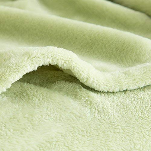 DiamondHome Super Soft Warm Light Weight Fleece Throw Blanket for Couch/Sofa/Bed/Chair in Living Room & Bed Room, 50" x 60" (Sage) - color: Sage