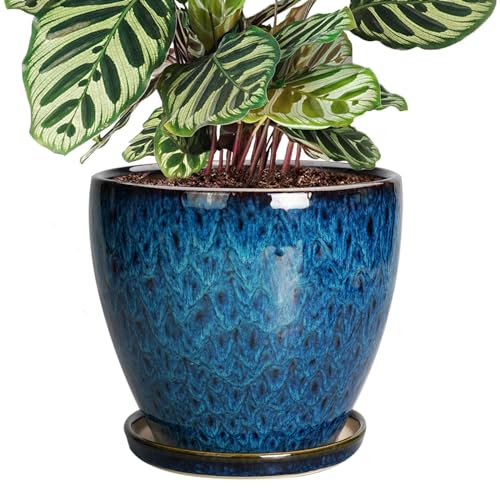 8 Inch Ceramic Planter Pot with Drainage Hole and Saucer, Ceraimc Plant Pot Round Flower Pot for Indoor Plants Outdoor Garden Planter, Blue - color: Blue-glaze, size: 8 Inch