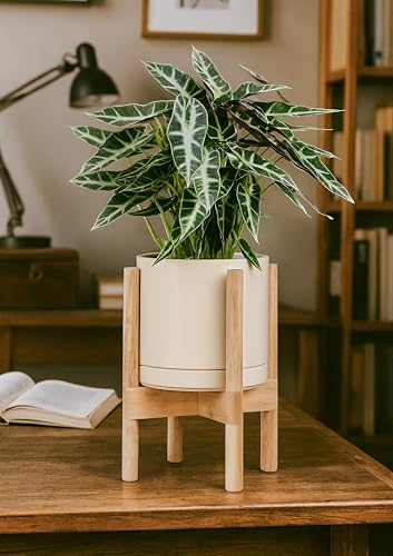 D'vine Dev Ceramic Pot with Natural Wood Stand, Oatmeal, 8 in, 55-B-N-8 - color: Oatmeal Pot + Natural Stand, size: 8 Inch