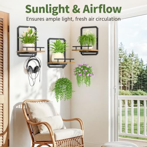 LASZOLA Plant Picture Frame Holder Shelf Wall Window Indoor, 3 Pcs Brown - color: Brushed Black+Brown, size: 3