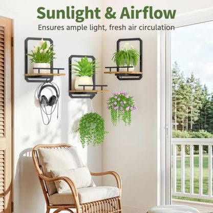 LASZOLA Plant Picture Frame Holder Shelf Wall Window Indoor, 3 Pcs Brown - color: Brushed Black+Brown, size: 3