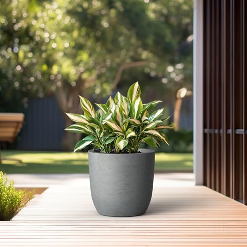 Kante Accent Round Curved Pale Gray Concrete Planter 13.3" Dia, Outdoor - color: Natural Concrete, size: 13.4"d